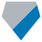 Detroit Lions